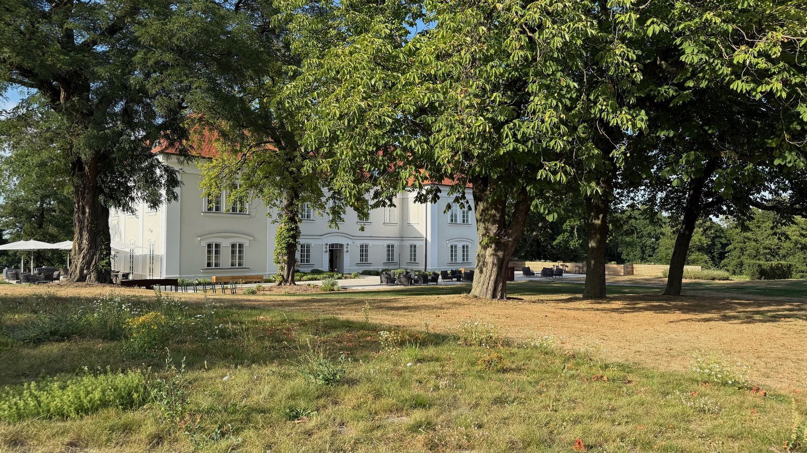 Nebřenice